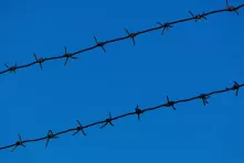Single strand barbed wire