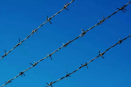 Barbed wire