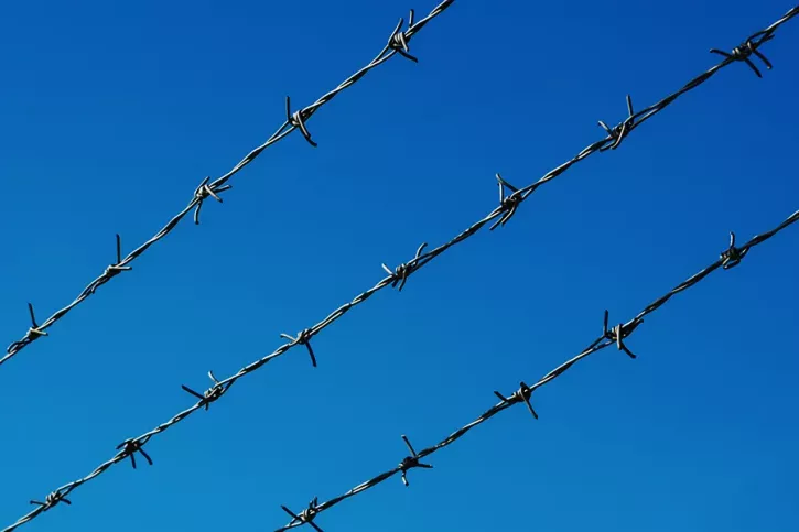 Barbed wire