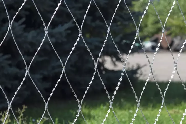 Razor mesh